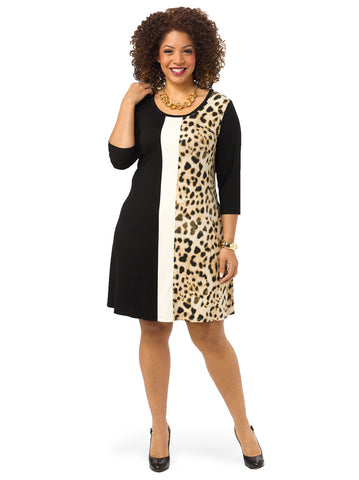 Leopard Print A-Line Dress